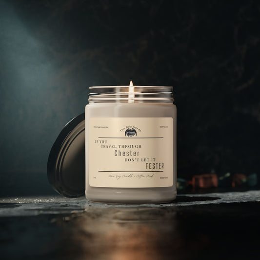 If You Travel Through Chester Don't Let It Fester - White Sage & Lavender - Scented Soy Candle, 9oz